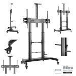Mobilny stojak TV Gembird TVS-100T-02 na kółkach | 60–100”, VESA do 1000x600, regulacja wysokości, udźwig 100kg