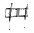 Uchwyt ścienny do TV 37" – 80" WM-80T-01 – regulowany, 70 kg, VESA