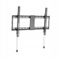 Uchwyt ścienny do TV 37" – 80" WM-80F-01 – stały, 70 kg, VESA