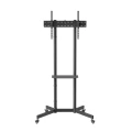 Podłogowy Stojak pod telewizor mobilny na kółkach 37"–70" VESA  – TVS-70T-01