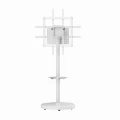 Mobilny stojak na telewizor 37" – 86" podłogowy STAND z kółkami VESA